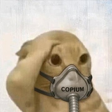cope cat on copium